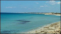 Bed and Breakfast Stella di Mare Salento