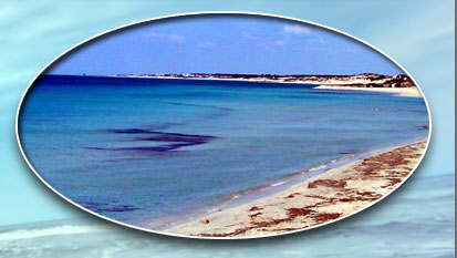 Salento Bed and Breakfast - B&B Stella di Mare, Marina di Lizzano in Provincia di Taranto